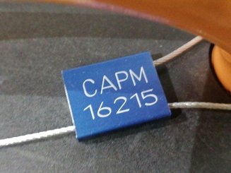 Transpaleta con plataforma Crown WT3040