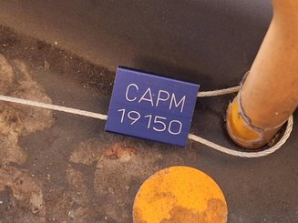 Recogepedidos de baja altura Crown GPC3055-2.0