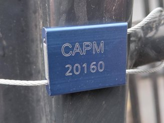 Carretilla contrapesada de 4 ruedas Caterpillar DP55NT MC